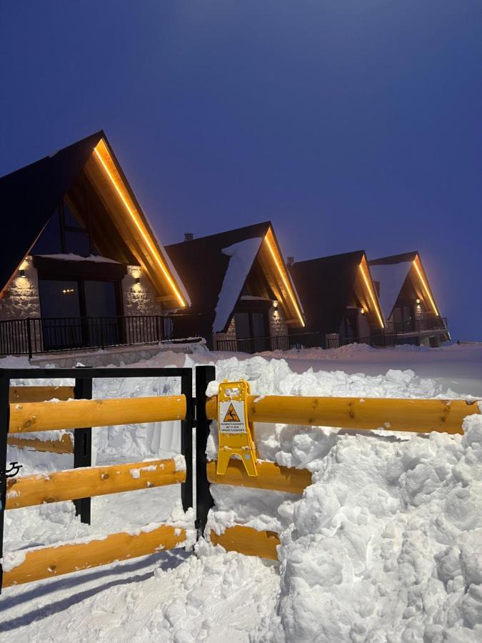 Wolforest Žabljak Exteriér fotografie